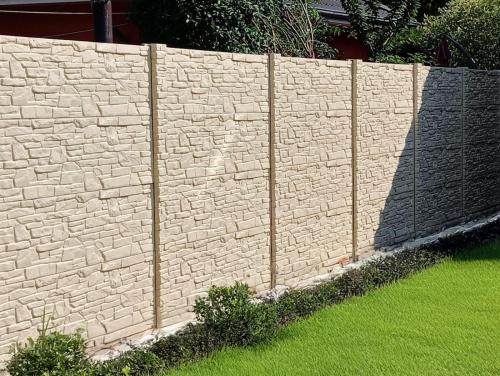 1 (1) (1) (1) (1) (1)