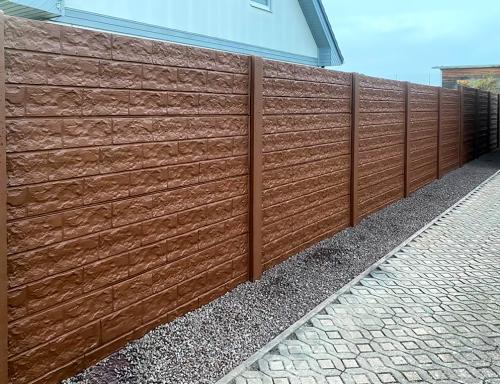 1 (1) (1) (1) (1) (1) (1)